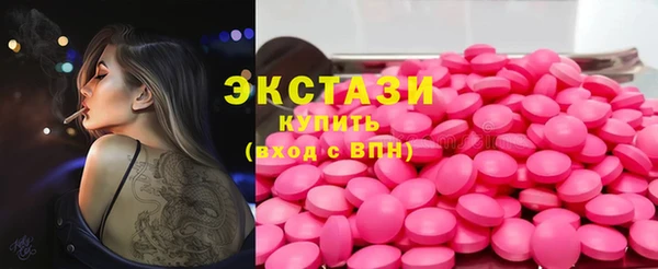 гидра Богородицк