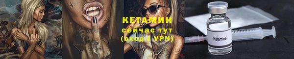 гидра Богородицк