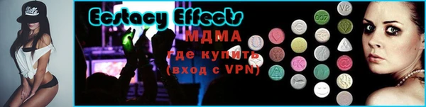 гидра Богородицк