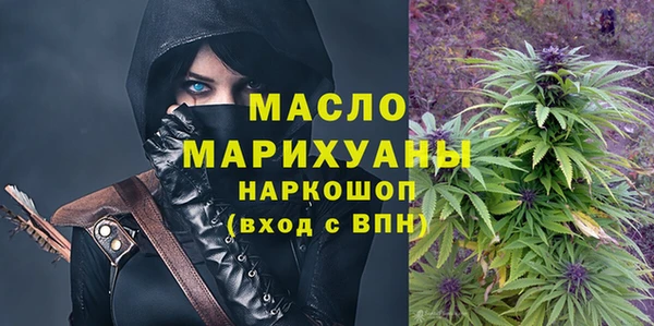 гидра Богородицк