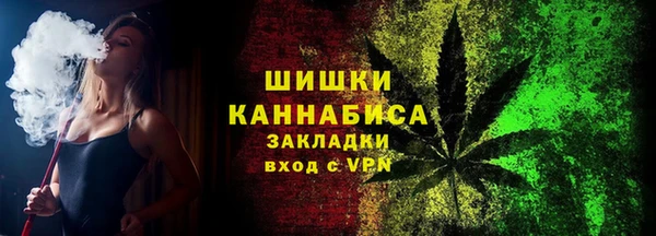 гидра Богородицк