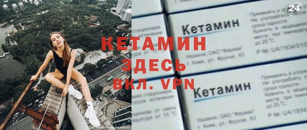 гидра Богородицк