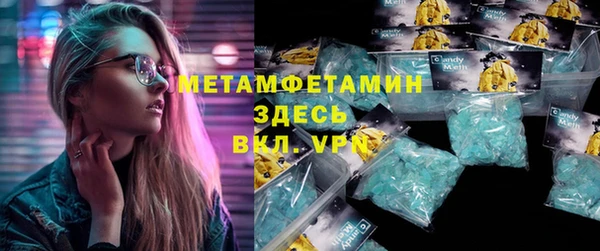 гидра Богородицк