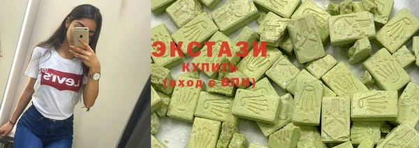гидра Богородицк