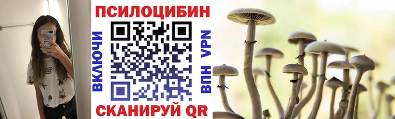 Галлюциногенные грибы Cubensis  Нальчик 