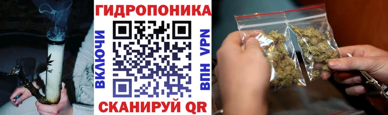 где можно купить наркотик  Нальчик  ОМГ ОМГ рабочий сайт  Шишки марихуана план 